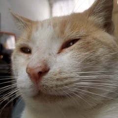 Malon (download in description)