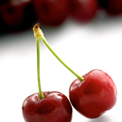 Sour Cherries