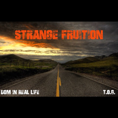 Strange Fruition (freestyle)
