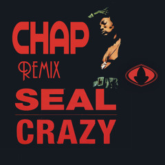 Seal - Crazy (Chap Ensemble Project Remix)