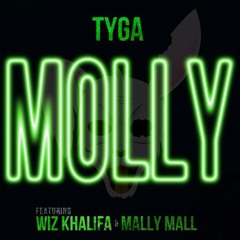 Tyga -Molly Instrumental W/Chorus(REMAKE)