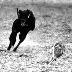 Track - Almost There