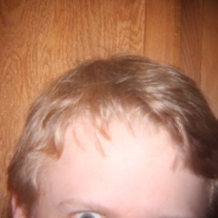 Brat (work-in-progress)