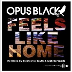 Opus Black - Feels Like Home (Electronic Youth Remix)[Transmission Recs]
