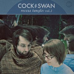 Cock & Swan - Night Rising (William Ryan Fritch Remix)
