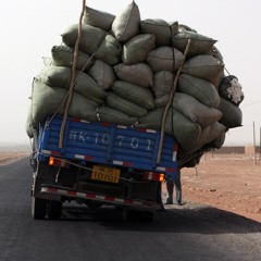 بدير والقلاب