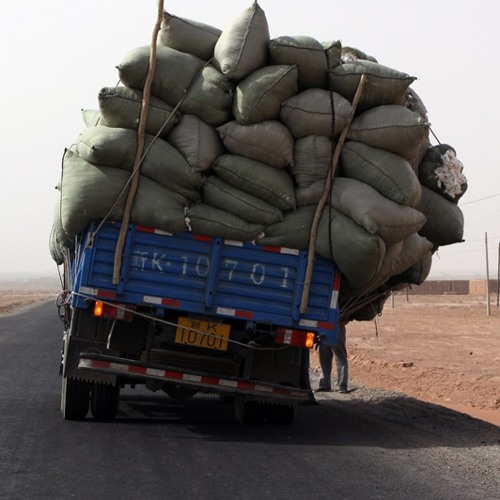 بدير والقلاب