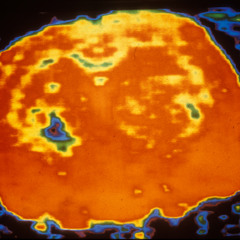 Endorphin (Trip Edit)