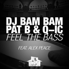 DJ Bam Bam, Pat B & Q-ic feat. Alex Peace - Feel The Bass