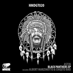 Astin - Black Panthers (Albert Marzinotto Remix)[preview]