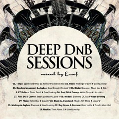 Deep DnB Sessions vol. 24