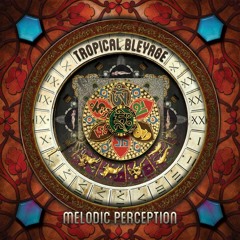 Melodic Perception (Full album preview!)