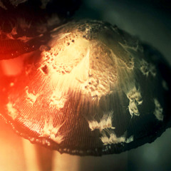 PonyianGlassWorks - Work in progress