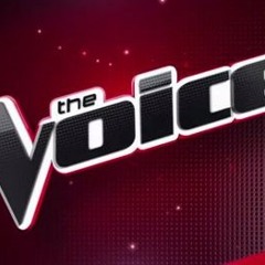 Cole Vosbury - Let Her Go - Studio Version - The Voice US 2013