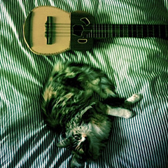 Music for film and other organisms