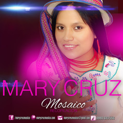 Mary Cruz - Mosaico 2014