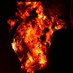 Shamans - A Summer Jam