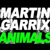 Martin Garrix - Animal