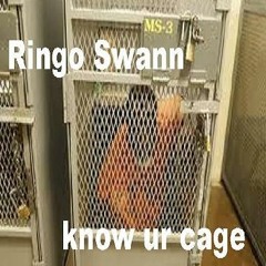 Myspace Flight Simulator - Evola Wonder Captain's Seat and Jsane the Navigator