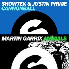 Showtek - Canonball (Get Loose Intro) Vs. Martin Garrix - Animals (ZaddiesT Mashup)