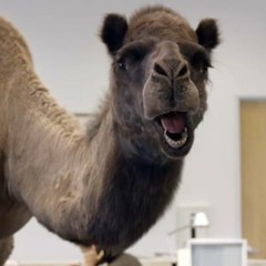 CCC_PR_GEICO SPOOF_CMA AWARDS_GUESS WHAT DAY IT IS (air wed 11-6)