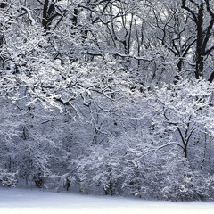 Always (Guitar Version)