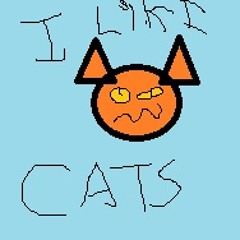 I LIKE CATS