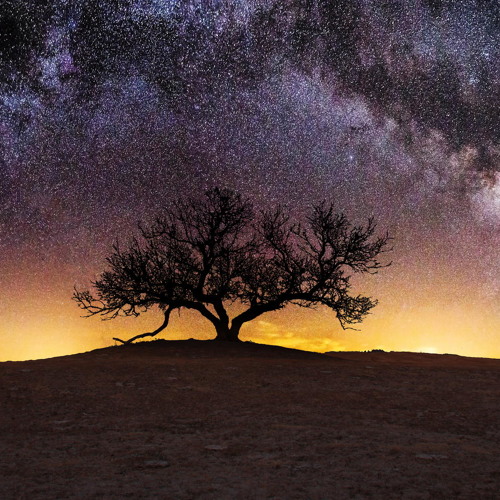 Arise-E.S. Posthumus