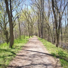 Not All Who Hesitate Are Lost (Instrumental)