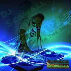 The Gift - Sarah Geronimo (Remix) Dj Ariel