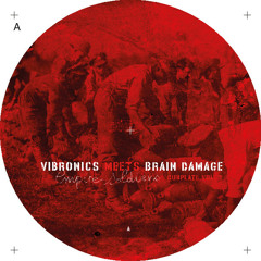 Vibronics meets Brain Damage w/Madu Messenger : "Kings engine" (Echo Ranks teaser)