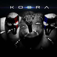 The Moogs -Kobra (original mix )
