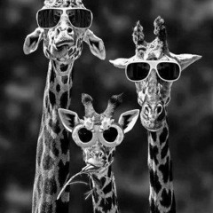 Phunk by Che Guevera