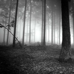 Black Sun Empire (remix dj.devil)