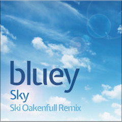 Bluey - Sky (Ski Oakenfull Remix)