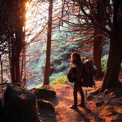 Flitz&Suppe - LifeIz