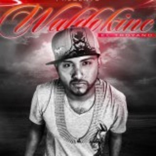 RikijimoO_Waldokinc el Troyano_ft_Dj Puñeta_(Melodia Loka) - RMX DEMBOW 2013 Sin Sello