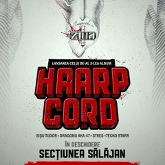 HAARP CORD - ZIUA INTAI (OFFICIAL VIDEO) - [www Flv2mp3 Com]
