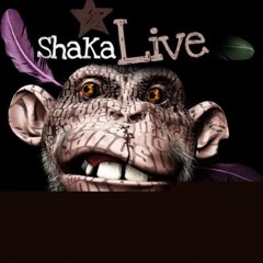Shaka Ponk -Prima Scene- Live Paléo Festival Nyon 2011.