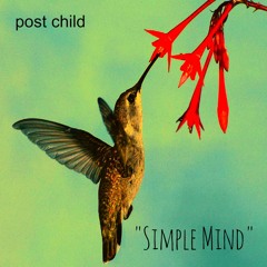 Simple Mind