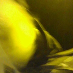 BEEF bitch at Where the fuck I be