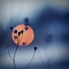 Reasons Why (Nickel Creek Cover)