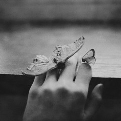 Another day on earth