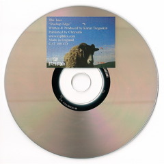 The Tuss - Goodbye Rute