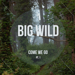 Come We Go Pt. 1