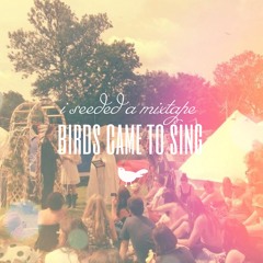 I Seeded A Mixtape For A Tree, Birds Came To Sing