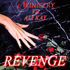 Revenge (Ministry vs. Ali Kay mix)