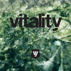 The Vibeout Mix