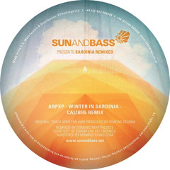 Arp XP - Winter In Sardinia - Calibre Rmx