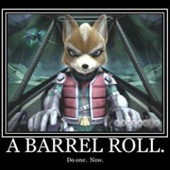 Do A Barrel Roll !!